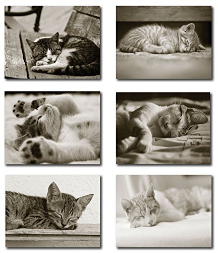 Product Cover Sleeping Kitten Greeting Cards - Blank on the Inside - Includes Cards and Envelopes - 6 Unique Designs - 5.5