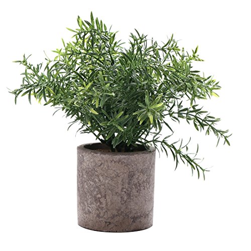 Product Cover HC STAR Artificial Plant Potted Mini Fake Plant Decorative Lifelike Flower Green Plants - 1101