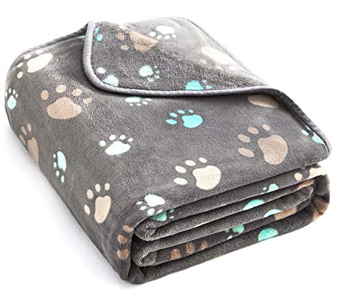 Product Cover Allisandro 350 GSM-Super Soft and Premium Fuzzy Flannel Fleece Pet Dog Blanket, The Cute Print Design Washable Fluffy Blanket for Puppy Cat Kitten Indoor or Outdoor, Grey, 31