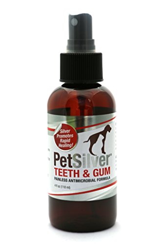 Product Cover PetSilver Teeth & Gum Spray for Dogs and Cats | Vet Formulated | Natural Dental Care Solution | Control Tarter and Plaque Build Up | Antimicrobial Formula - No Brushing | Easy to Apply
