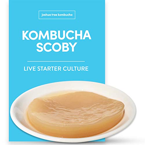 Product Cover Kombucha Scoby & Starter Tea by Joshua Tree Kombucha | (No Vinegar or Artificial Flavors Added!) (Make 1 Quart (1/4 Starter))