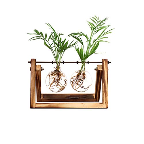 Product Cover Ivolador Desktop Glass Planter Bulb Vase with Retro Solid Wooden Stand and Metal Swivel Holder for Hydroponics Plants Home Garden Wedding Decor (2 Bulb Vase)