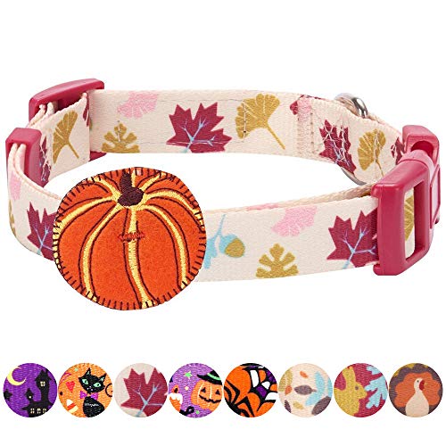 Product Cover Blueberry Pet 8 Patterns Thanksgiving Fall Obsession Ginkgo Biloba Leaf Designer Adjustable Dog Collar with Pumpkin, Small, Neck 12