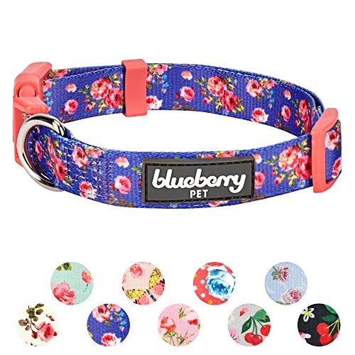 Product Cover Blueberry Pet 11 Patterns Spring Scent Inspired Rose Print Irish Blue Adjustable Dog Collar, Small, Neck 12