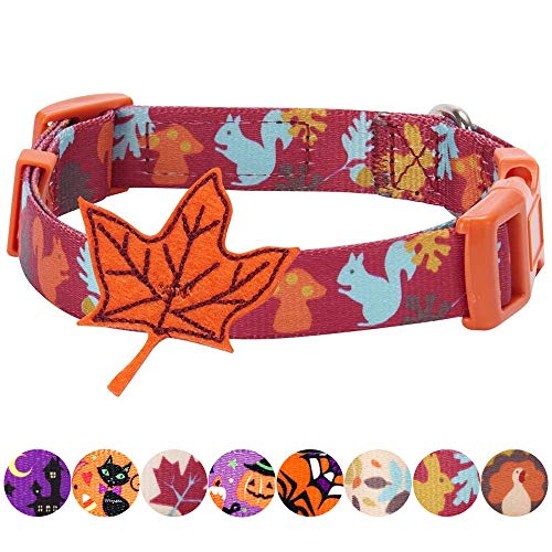 Product Cover Blueberry Pet 8 Patterns Thanksgiving Fall Fun Enchanting Squirrel Designer Adjustable Dog Collar with Maple, Large, Neck 18