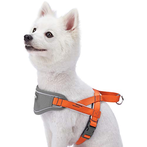 Product Cover Blueberry Pet 8 Colors Soft & Comfy 3M Reflective Strips Padded Dog Harness Vest, Chest Girth 16.5