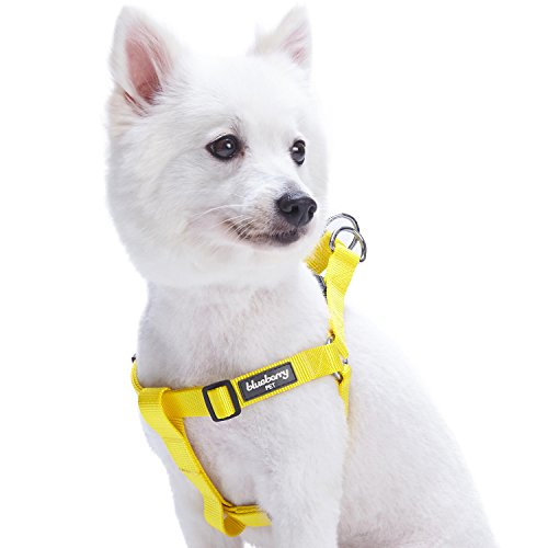 Product Cover Blueberry Pet Essentials 19 Colors Step-in Classic Dog Harness, Chest Girth 20