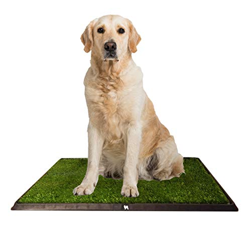 Product Cover Puppy Potty Grass Toilet Trainer  Tray for Dogs and Puppies Large 20 x 25 Inch. Training Grass Pee Pad For Indoor, Outdoor Use, Porches, Apartments and Houses  Grass Turf Mat