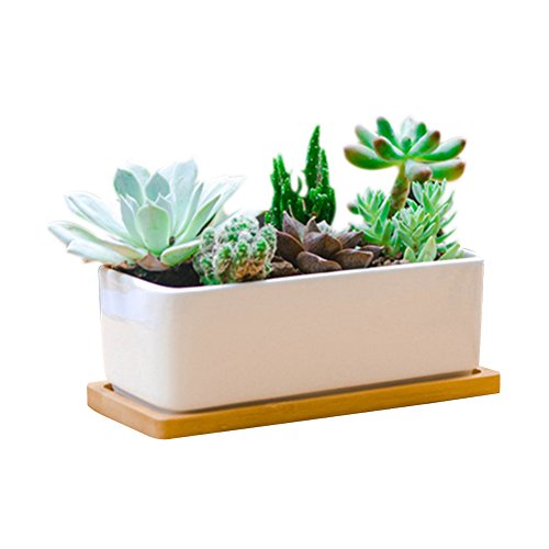 Product Cover 6.5 Inch Rectangle White Ceramic Succulent Planter Pot Decorative Cactus Plant Pot Flower Container with Bamboo Tray