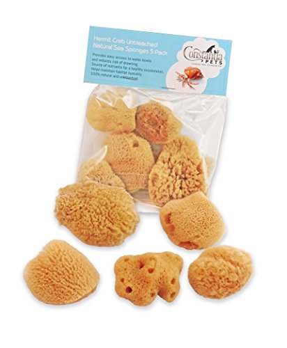 Product Cover Constantia Pets Hermit Crab Real Sea Sponges - 5 Pack Unbleached, Provides Nutrients, Safer Drinking and Helps Maintain Habitat Tank Humidity