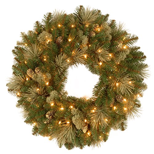 Product Cover National Tree 24 Inch Carolina Pine Wreath with 50 Battery Operated LED Lights (CAP3-306-24WB-1)