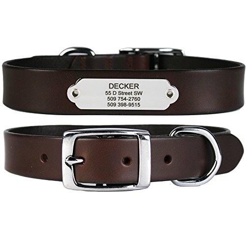 Product Cover GoTags Leather Dog Collar with Rivet-on Nameplate in Stainless Steel, Personalized Engraved Name Plate ID Tag on Soft, Brown Leather Dog Collar for Small, Medium and Large Dogs, (Dark Brown)