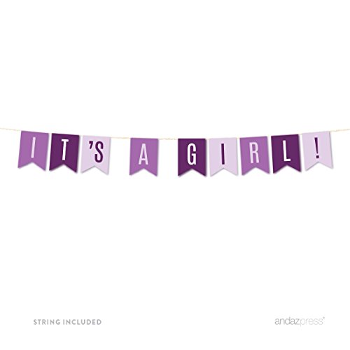Product Cover Andaz Press Signature Lavender, Plum, Royal Purple Girl Baby Shower Party Collection, Hanging Pennant Banner, It's a Girl!, Approx. 6-Feet, 1-Set