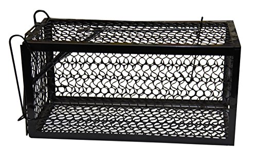 Product Cover HARRIS Catch and Release Humane Animal and Rodent Cage Trap for Mice, Rats, Chipmunks, and Small Squirrels (9.3in x 4.3in x 4.5in)