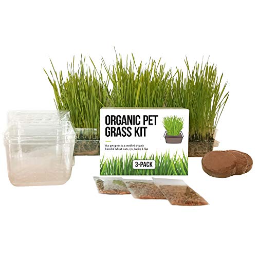 Product Cover Cat Grass Growing Kit - 3 Pack Organic Seed, Soil and BPA Free containers (Non GMO). All of Our Seed is Locally sourced for pet and pet Lovers.
