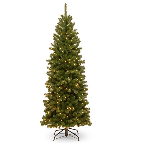 Product Cover National Tree 6 Foot North Valley Spruce Pencil Slim Tree with 250 Clear Lights (NRV7-358-60)