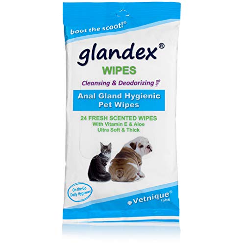Product Cover Glandex Dog, Cat & Pet Wipes Cleansing & Deodorizing Hygienic Anal Gland Grooming Wipes 24 ct Fresh Scent