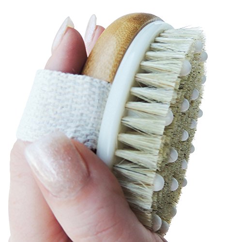 Product Cover Ozziko Anti Cellulite Dry Brushing Body Brush. Skin Exfoliating Massager Brush for Celulite, Dry Skin, Ingrown Hair, Stretch Marks, Lymphatic Drainage, Scars, Acne, Razor Bumps. Natural Boar Bristles.