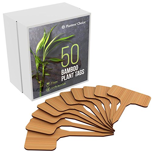 Product Cover 50 Bamboo Plant Labels in Gift Box (T-Type) - Plant Tags - Cheese Markers