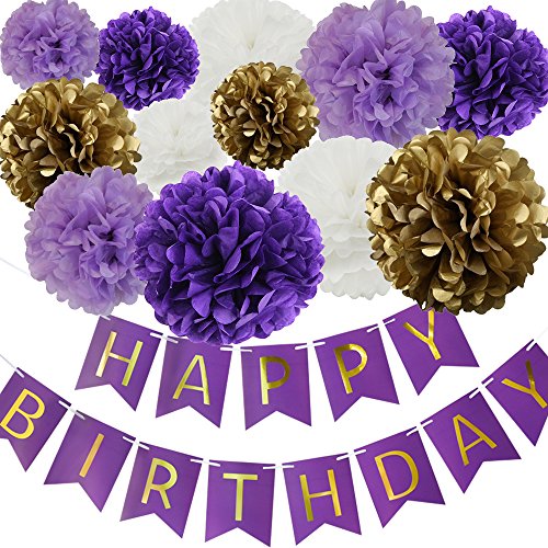 Product Cover Happy Birthday Party Decoration Kit Purple Happy Birthday Banner With Purple Tissue Paper Pom Poms Paper Flowers