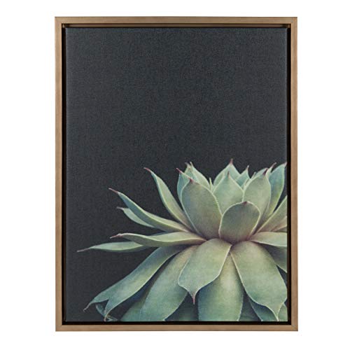 Product Cover Kate and Laurel Sylvie Succulent Framed Canvas Wall Art by F2 Images, 18x24 Gold