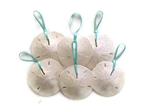 Product Cover Coastal Large Sand Dollar Glittered Christmas Ornaments with Turquoise Ribbon, 6