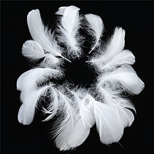 Product Cover Ruizsh Feather, 400pcs Natural Beautiful Goose Feathers 3.15-4.72 inch for Various DIY Craft Headdress, Earrings and Wedding Birthday Festival Home Party Decorations & Bridal Baby Shower (White)