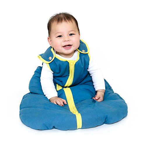 Product Cover Baby Deedee Sleep Nest Sleeping Sack, Warm Baby Sleeping Bag fits Newborns and Infants,Medium (6-18 Months)