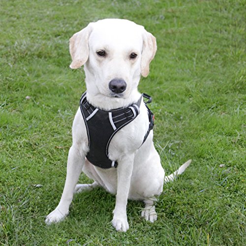 Product Cover Menkar Dog Harness No Pull Pet Vest Adjustable Outdoor Reflective Oxford Material Easy Control for Medium Breed Dogs