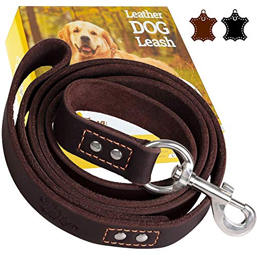 Product Cover ADITYNA Leather Dog Leash 6 Foot x 3/4 inch - Soft and Strong Leather Leash for Large and Medium Dogs - Dog Training Leash (Brown)