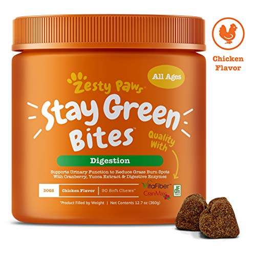 Product Cover Zesty Paws Stay Green Bites for Dogs - Grass Burn Soft Chews for Lawn Spots Caused by Dog Urine - Cran-Max Cranberry for Urinary Tract & Bladder - with Apple Cider Vinegar + Digestive Enzymes - 90 Ct