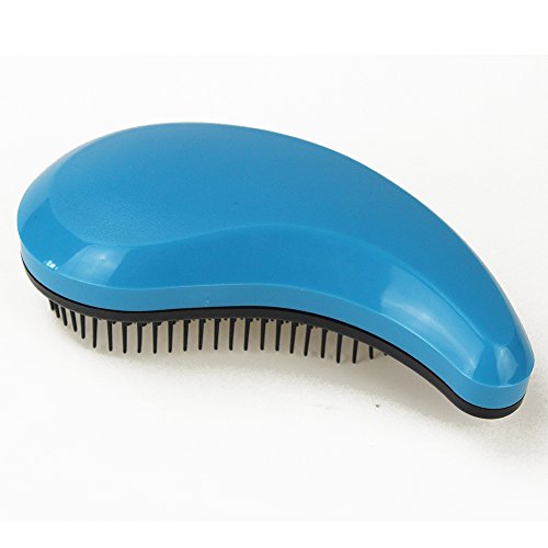 Product Cover Detangler Hair Brush, Detangling Brushes Comb Salon Styling Tamer Massage Healthy Tools Reduce Hair Loss (Blue)
