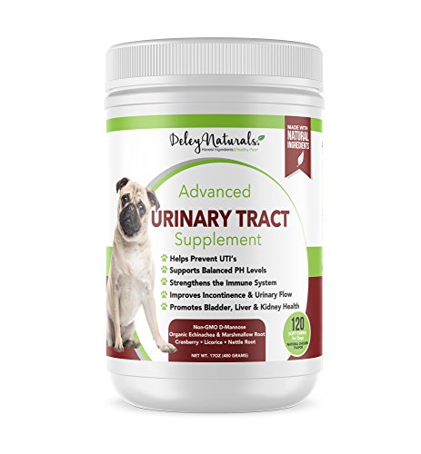 Product Cover Dog UTI Prevention - Incontinence, Bladder, Kidney & Immune System Support - Cranberry Pills for Dogs - D-Mannose & Echinacea - Made in USA, Chicken, All Natural - 120 Grain Free Soft Chews