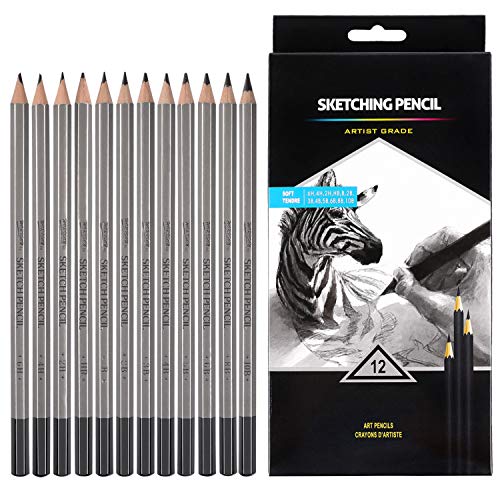 Product Cover Professional Drawing Sketching Pencil Set - 12 Pieces Drawing Pencils 10B, 8B, 6B, 5B, 4B, 3B, 2B, B, HB, 2H, 4H, 6H Graphite Pencils for Beginners & Pro Artists
