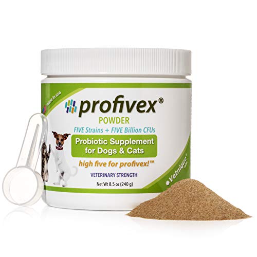 Product Cover Profivex Probiotics for Dogs and Cats: Daily Pet Digestive 5 Strain Probiotics Powder with Prebiotics & Added Fiber from Sweet Potato - Pork Liver Flavor, 8.5 oz