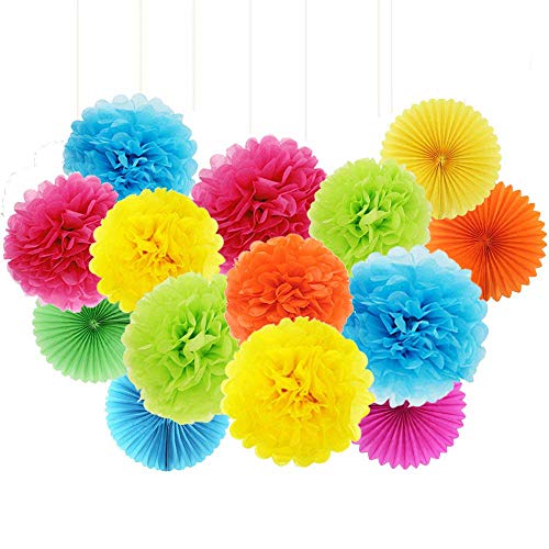 Product Cover ZJHAI 20pcs Rainbow Paper Pom Poms and Paper Fans, 5 Colors, for Shop Wedding Party Decorations