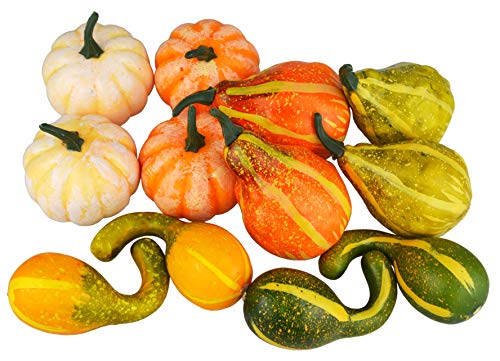 Product Cover JEDFORE 12Pcs Lifelike Simulation Realistic Mixture of Artificial Pumpkins Fake Vegetable Fruit for Festival Halloween Thanksgiving Fall Harvest Home Decoration