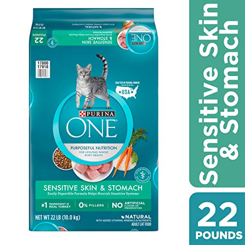 Product Cover Purina ONE Sensitive Stomach, Sensitive Skin, Natural Dry Cat Food, Sensitive Skin & Stomach Formula - 22 lb. Bag