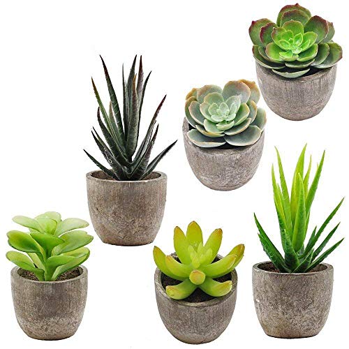 Product Cover Supla 6 Pcs Assorted Potted Succulents Plants Decorative Artificial Succulent Plants Potted Faux Cactus Aloe with Gray Pots Artificial Topiary Plant Potted