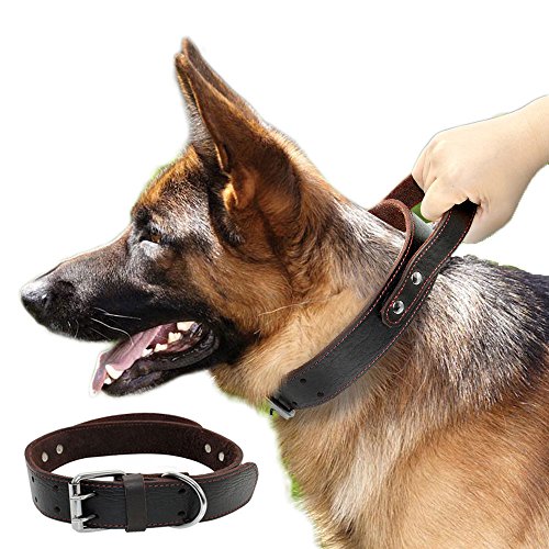 Product Cover PET ARTIST Genuine Leather Dog Collar for Walking & Training Heavy Duty Dog Collar with Handle for Medium & Large Dogs