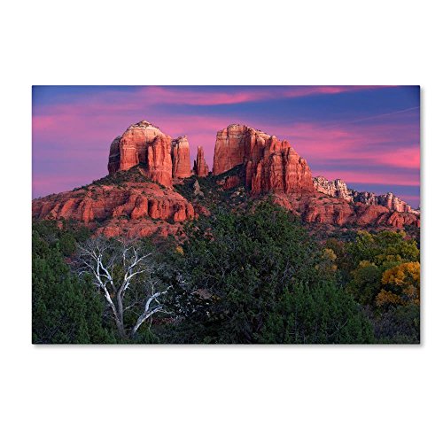 Product Cover Sedona Cathedral Rock Dusk by Mike Jones Photo, 16x24-Inch Canvas Wall Art