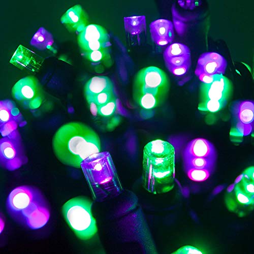 Product Cover Wintergreen Lighting LED Purple, Green Halloween Mini Light Set, 70 5mm Lights, Indoor/Outdoor Halloween Light Decorations, 120V UL Certified, Black Wire