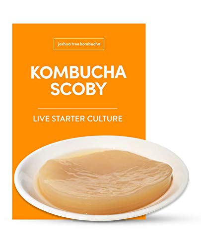 Product Cover Kombucha Scoby & Starter Tea by Joshua Tree Kombucha | (No Vinegar or Artificial Flavors Added!) - Make 1 Gallon (1 cup starter)