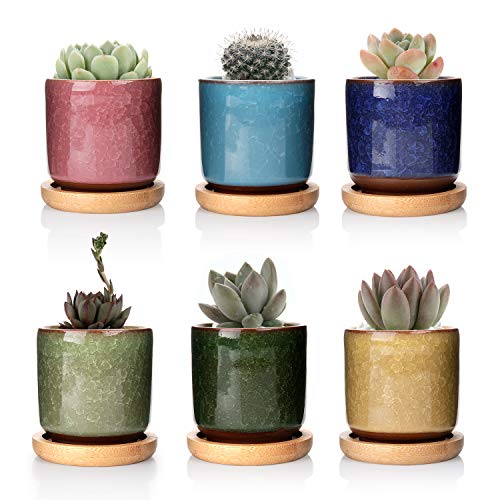 Product Cover T4U 2.5 Inch Small Ceramic Succulent Planter Pot with Bamboo Saucer Set of 6, Ice Crack Glaze Porcelain Handicraft Plant Container Gift for Mom Sister Aunt Best for Home Office Desk Decoration
