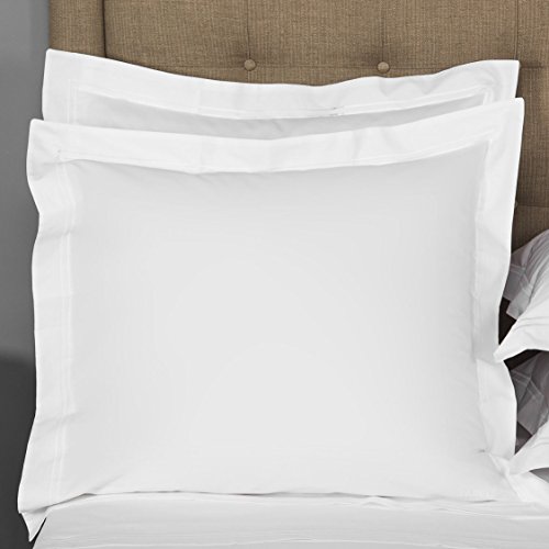 Product Cover THREAD SPREAD European Square Pillow Shams Set of 2 White 1000 Thread Count 100% Egyptian Cotton Pack of 2 Euro 26 x 26 Bright White Pillow Shams Cushion Cover, Cases Super Soft Decorative.