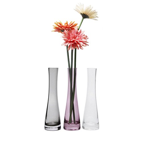 Product Cover Rachel's Choice 8.5 Inch Small Bud Vase, Glass Flower Vase for Home Decor Centerpieces Gift, Pack of 3
