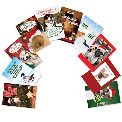 Product Cover 10 Boxed 'PetiGtreet: Frozen Paws' Assorted Funny Christmas Cards w/ Envelopes - Cute Dogs and Merry Xmas Greetings - Happy Holiday and Seasons Greetings Gift - 10 Unique Card Designs A5556XSG-B1x10