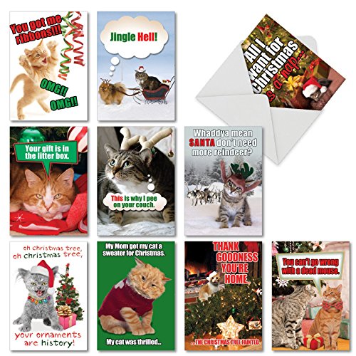 Product Cover 10 Assorted PetiGreet Cats Christmas Boxed and Funny Cat Christmas Cards w/ Envelopes - Ten Different Merry Xmas Designs Hilarious Variety Box for Seasons Greetings and Happy Holidays A5559XSG-B1x10