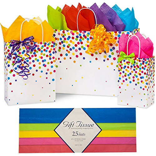 Product Cover Birthday Gift Bags Rainbow Multicolor Assortment (Rainbow Assorted w Tissue, 3)