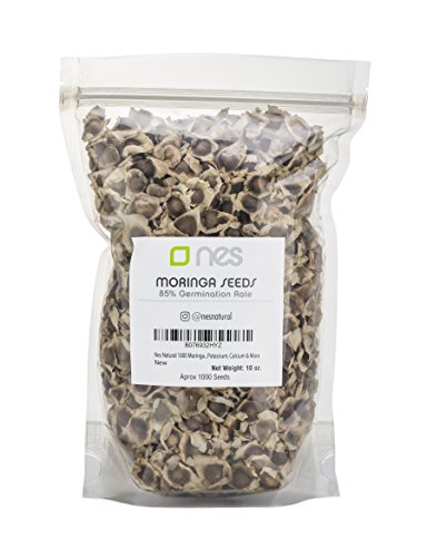 Product Cover Nes Natural 1000 Moringa Oleifera Dried Seeds Pack | Organically Grown - Malunggay Drumstick Tree Edible Seeds | 10 oz. (1000 Seeds Approximately) Resealable Stand Up Pouch
